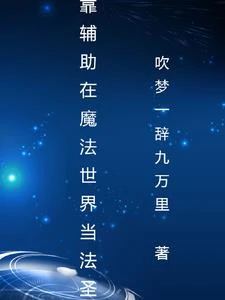 魔法覺醒，我第一系是輔助系 封面