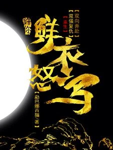 許你鮮衣怒馬 封面