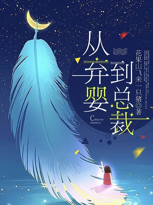 從棄嬰到總裁 封面