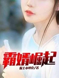 霸婿崛起 封面