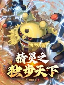 精靈寶可夢之登神長街 封面
