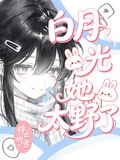 白月光她太野了 封面